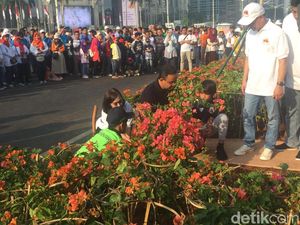 Anies Tanam Bugenvil untuk Atasi Polusi, Ampuhkah? Anies Tanam Bugenvil untuk Atasi Polusi, Ampuhkah?