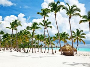 Liburan ke Dominika, Pasangan Turis Malah Keracunan Pestisida Liburan ke Dominika, Pasangan Turis Malah Keracunan Pestisida