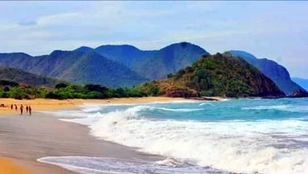 Foto: Tempat Lihat Lumba-lumba di Bima