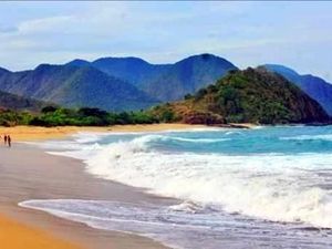 Foto: Tempat Lihat Lumba-lumba di Bima