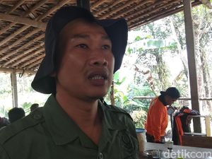 Tak Ditemukan Lagi Titik Api, Kebakaran di Merapi Dinyatakan Padam