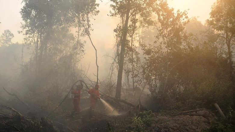 Polri: 3 Korporasi Diproses Terkait Karhutla