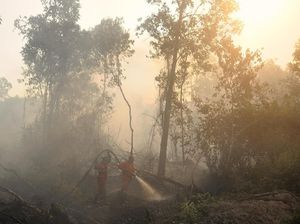 Polri: 3 Korporasi Diproses Terkait Karhutla