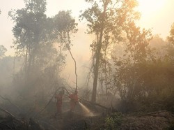 Polri: 3 Korporasi Diproses Terkait Karhutla