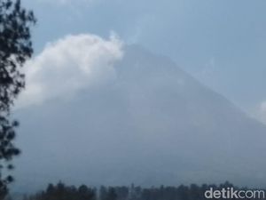 Gunung Merapi Embuskan Awan Panas Letusan Sore Ini