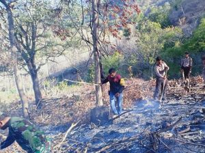 1,5 Hektare Lahan di Bima NTB Terbakar, Seorang Warga Ditangkap Polisi