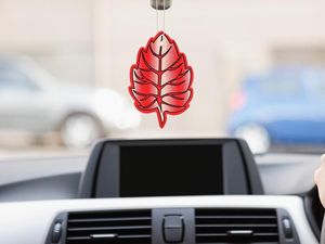 7 Bahan Pengharum Mobil Alami yang Aromanya Nggak Bikin Enek 7 Bahan Pengharum Mobil Alami yang Aromanya Nggak Bikin Enek