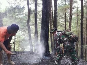 Dua Kebakaran Hutan Terjadi di Trenggalek dalam Sehari