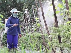 Strategi Kementan Perangi Pemalsuan Pestisida