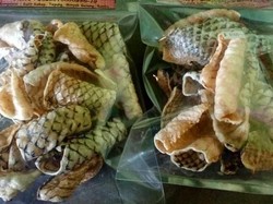 Oleh-oleh Keripik Unik Khas Klaten