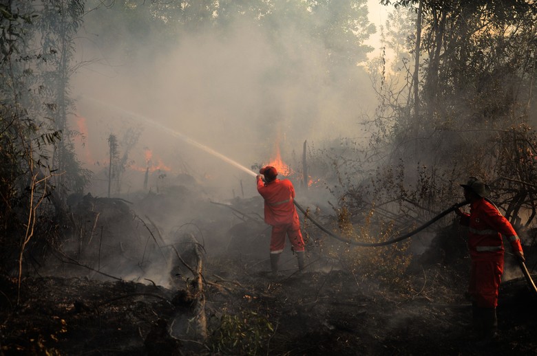 Hari Ke-10 Pemadaman Kebakaran Lahan Gambut di Riau