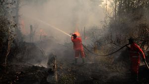 Petugas Hingga Anak-anak Berjibaku Padamkan Karhutla di Palembang