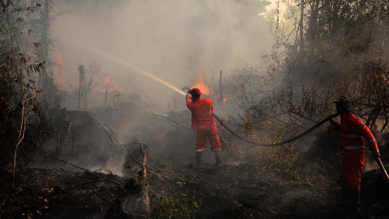 Petugas DLH Padamkan Kebakaran Lahan di Tahura Paser Kaltim Petugas DLH Padamkan Kebakaran Lahan di Tahura Paser Kaltim