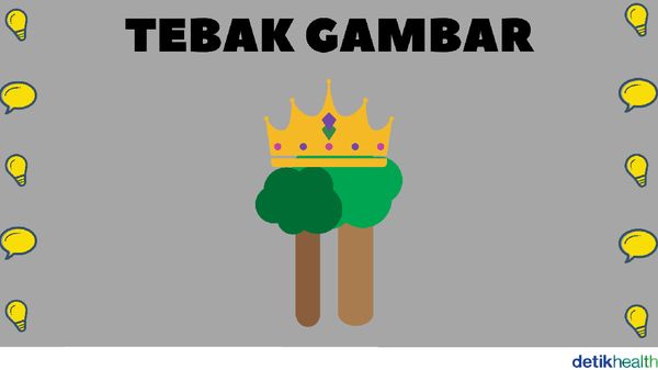 Yakin Otak Kamu Encer? Yuk Coba Main Tebak Gambar Ini