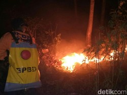 Embusan Angin Kencang Saat Kemarau, Dua Hutan di Situbondo Sempat Terbakar