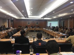 DPRD Minta Pemprov DKI Tanam Sakura Seperti di Surabaya