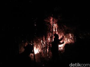 Pendakian Gunung Arjuno Tetap Dibuka Meski Rawan Kebakaran Pendakian Gunung Arjuno Tetap Dibuka Meski Rawan Kebakaran