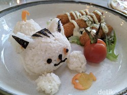 Amyrea Art & Kitchen : Meong! Ada Butter Rice Berbentuk Kucing yang Gurih Wangi di Sini