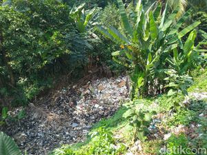 Bak Reklamasi, Muncul Pulau Sampah di Perairan Kalibaru Bogor