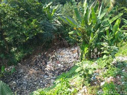 Bak Reklamasi, Muncul Pulau Sampah di Perairan Kalibaru Bogor