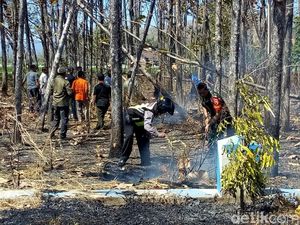 Total 11 Hektare Lahan Perhutani di Ponorogo Terbakar Sejak Juli