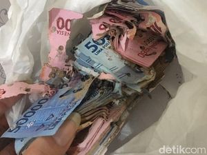 Duit Rp 15 Juta Dimakan Rayap Gegara Disimpan di Laci Kasur