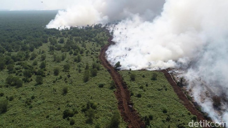 Kebakaran Lahan Terjadi Lagi di Musi Banyuasin Sumsel