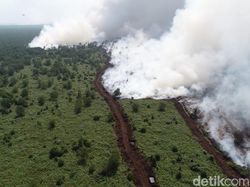 Bupati Muba Rekomendasikan Cabut Izin Korporasi yang Jadi Tersangka Karhutla
