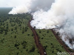 Bupati Muba Rekomendasikan Cabut Izin Korporasi yang Jadi Tersangka Karhutla
