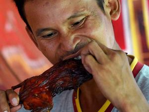 Tikus Jadi Camilan Sekaligus Bekal Makanan Murah di Kamboja