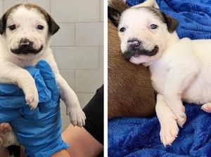 Foto-foto Penampakan Unik yang Mungkin Disangka Fiktif