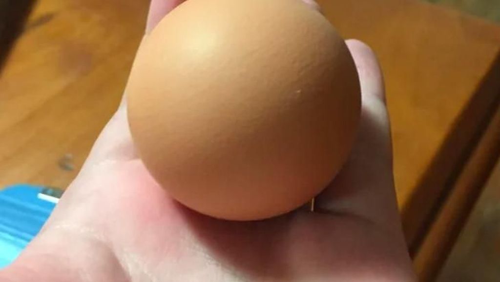 Secara Kebetulan, Bentuk Es Krim hingga Telur Ini Nampak Sempurna!