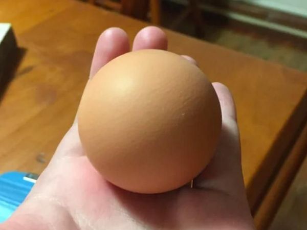 Secara Kebetulan, Bentuk Es Krim hingga Telur Ini Nampak Sempurna!
