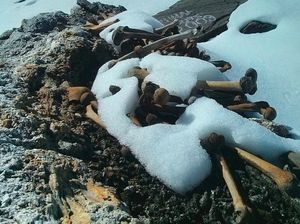 Kisah Danau Kerangka Manusia Paling Misterius di Dunia