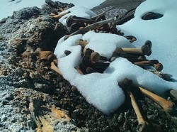 Kisah Danau Kerangka Manusia Paling Misterius di Dunia