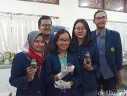 Keren! Mahasiswa Universitas Udayana Bikin Obat Antidepresi dari Krokot