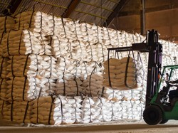 Ekspor Beras ke Arab Saudi Terganjal Administrasi