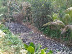 Pulau Sampah Bak Reklamasi di Kalibaru Bogor Belum Dibersihkan