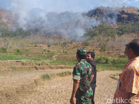 Hampir 24 Jam, Kebakaran Hutan di Wonogiri Belum Berhasil Dipadamkan