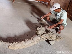 Warga Temukan Fosil Diduga Kepala Kerbau Raksasa di Grobogan