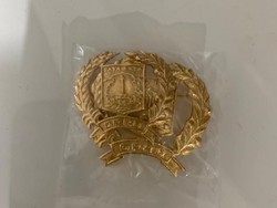 Pin Emas DPRD DKI Jadi Polemik, Atribut Diatur Harus Pertimbangkan Efisiensi