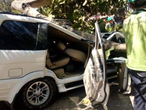 Pohon Tumbang Timpa Mobil di Universitas Pancasila, 1 Orang Tewas