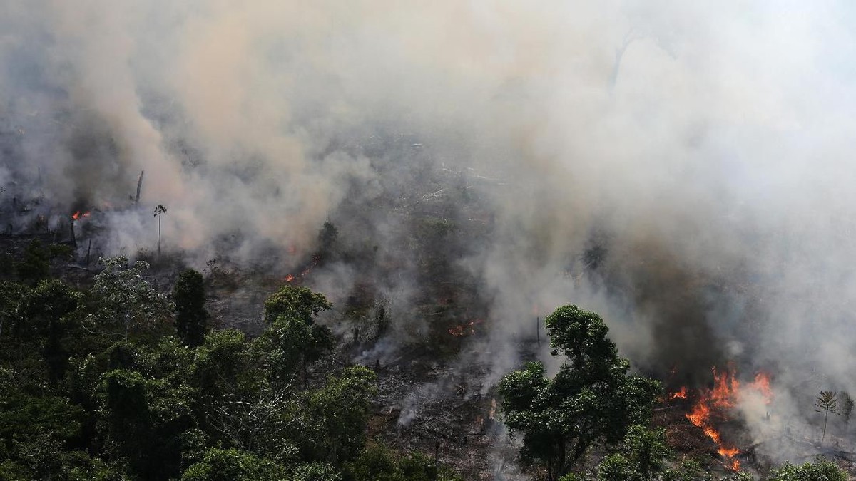 Cristiano Ronaldo turut prihatin dengan kebakaran hutan Amazon (Reuters)