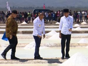 Pastikan Program Berjalan, Jokowi Perdana Panen Garam di Kupang