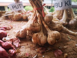 Kementan Targetkan Swasembada Bawang Putih di 2021