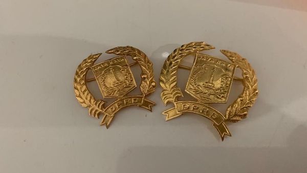 Penampakan Pin Emas Anggota DPRD DKI yang Jadi Kontroversi