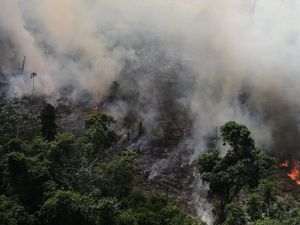 Memprihatinkan! Kebakaran Hutan Amazon Capai Rekor Tahun Ini Memprihatinkan! Kebakaran Hutan Amazon Capai Rekor Tahun Ini