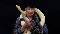 Mengintip Kehidupan Pemburu Ular dari Thailand