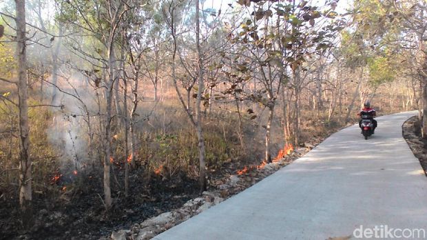 Hampir 24 Jam, Kebakaran Hutan di Wonogiri Belum Berhasil Dipadamkan