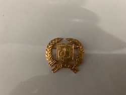 Saling Serang PAN vs PSI Gegara Isu Tolak Pin Emas